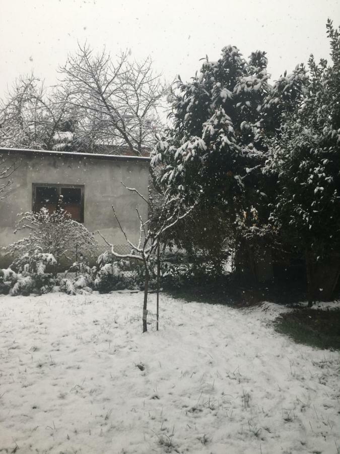 Villa Bacchetta - Stone Cottage Oleggio Castello Екстериор снимка